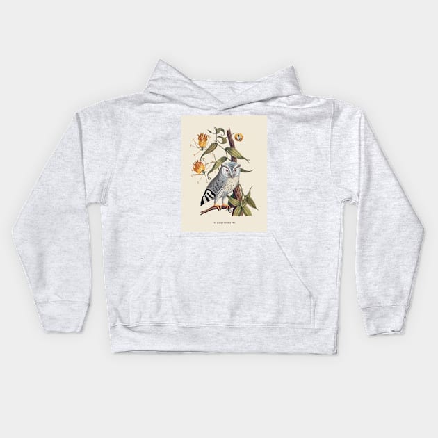 Owl Antique Naturalist Illustration Kids Hoodie by Antiquated Art